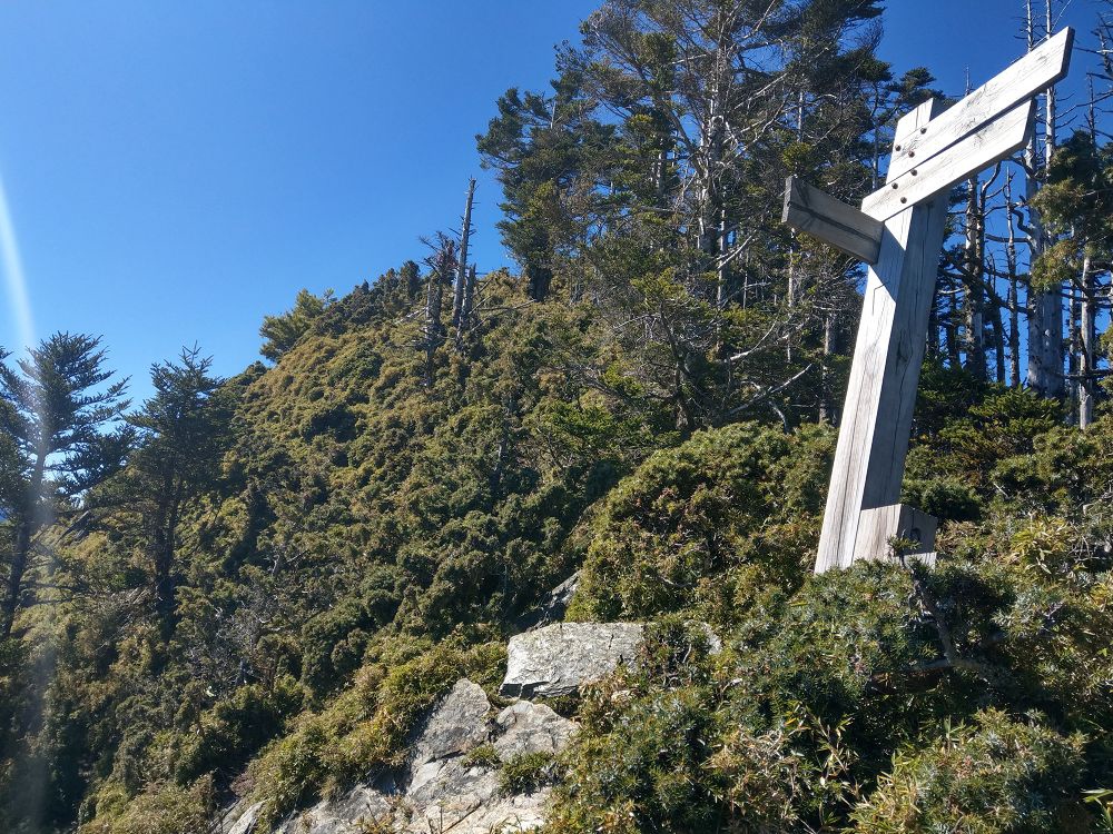 2018_1106_101617.jpg 2018_1106_101617.jpg