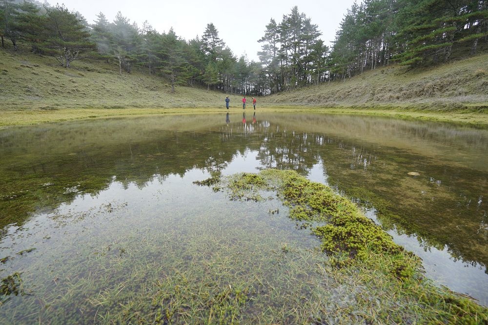 2018_1106_135006.jpg 2018_1106_135006.jpg