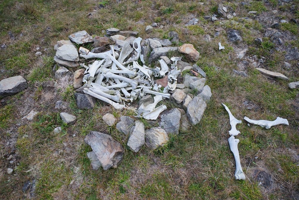 2018_1106_164930.jpg 2018_1106_164930.jpg