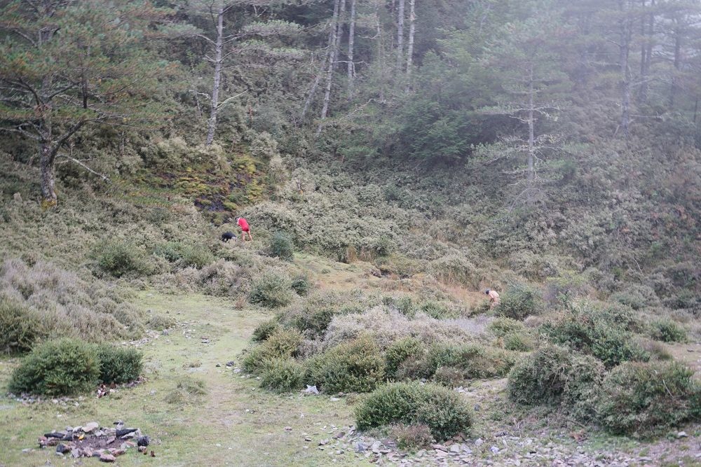 2018_1106_161458.jpg 2018_1106_161458.jpg