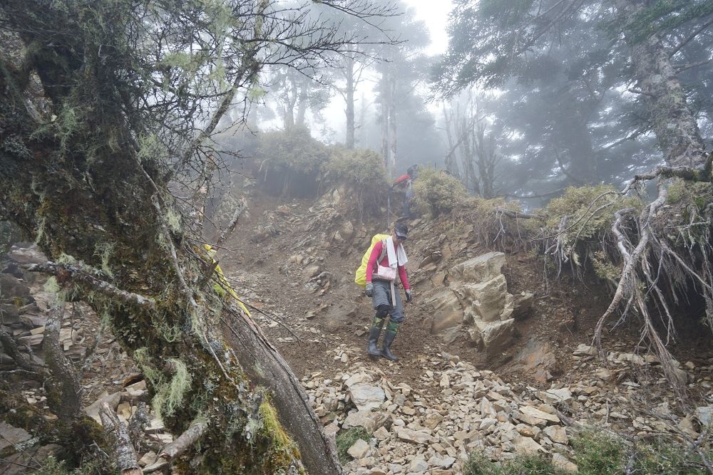 2018_1106_145926.jpg 2018_1106_145926.jpg