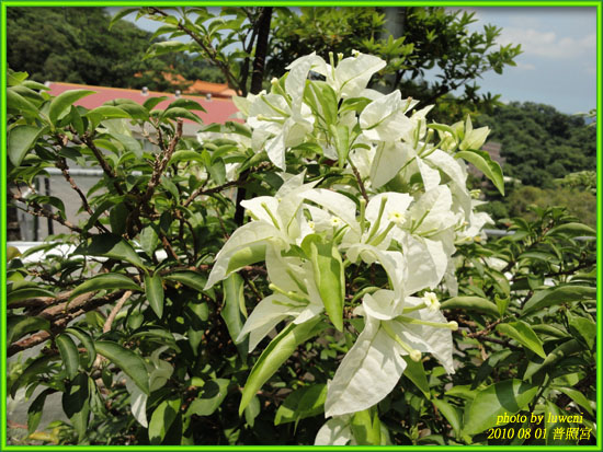 20100801竹東一日遊1.jpg