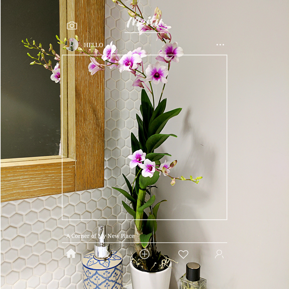 IMG_20170819_135927_mh1503146825823.jpg IMG_20170819_135927_mh1503146825823.jpg