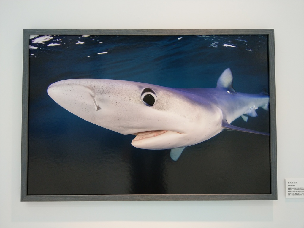 IMAG2066.jpg IMAG2066.jpg