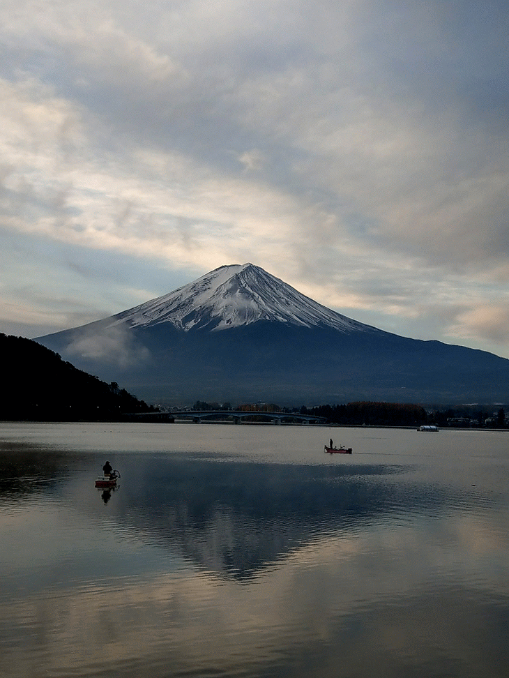 IMAG4088-ANIMATION.gif IMAG4088-ANIMATION.gif