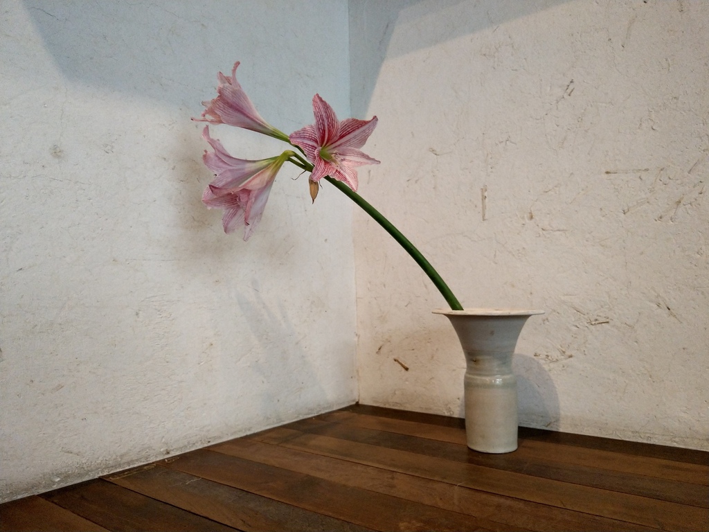 IMAG5307.jpg IMAG5307.jpg