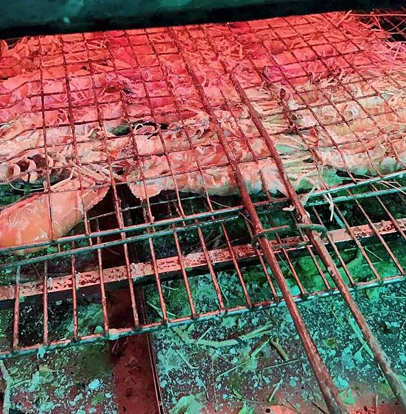 246511.jpg 246511.jpg