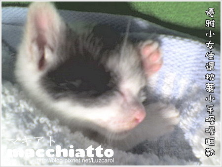 macchiatto