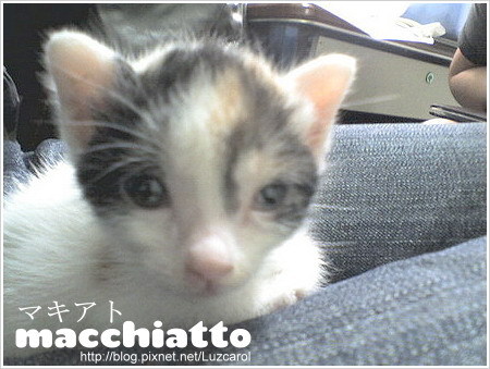 macchiatto