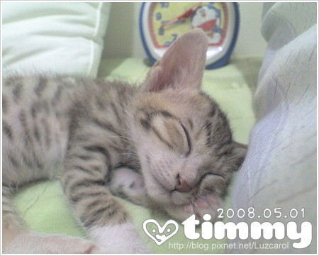 Timmy