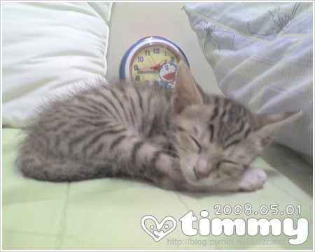 Timmy