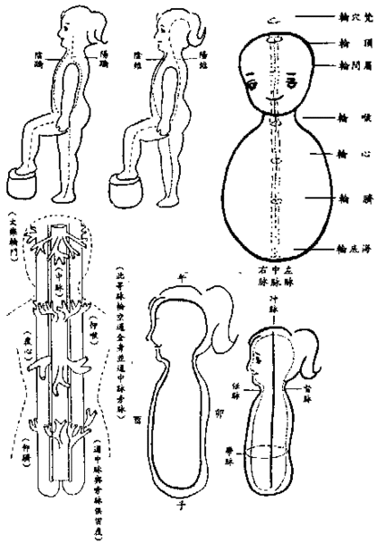 各穴道脉線圖