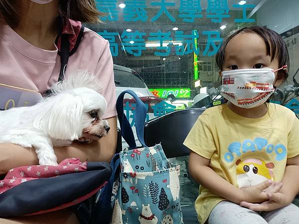 2023年4月~5月,照顧重病小奴奴到當小天使