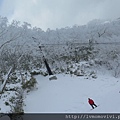 星野 森林餐廳2014-1213 184