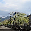 IMG_0319.JPG