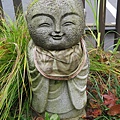 IMG_0362.JPG