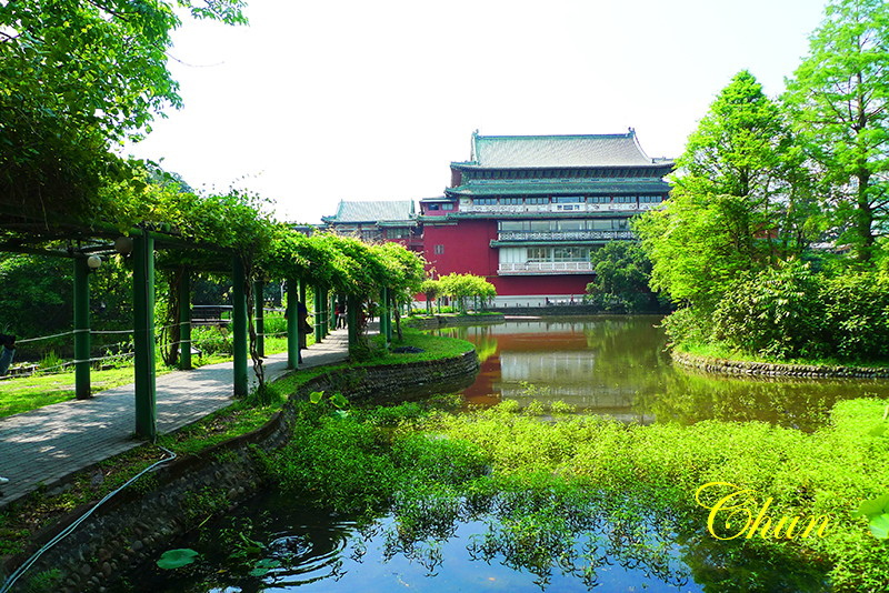 植物園生態即景