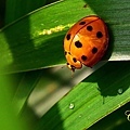 459473628_m