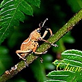 IMG_7004