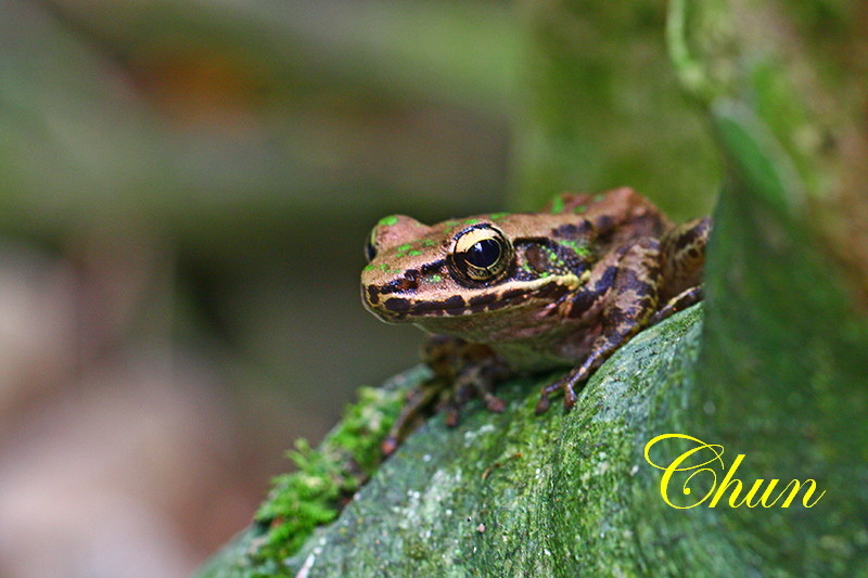 IMG_4634 IMG_4634