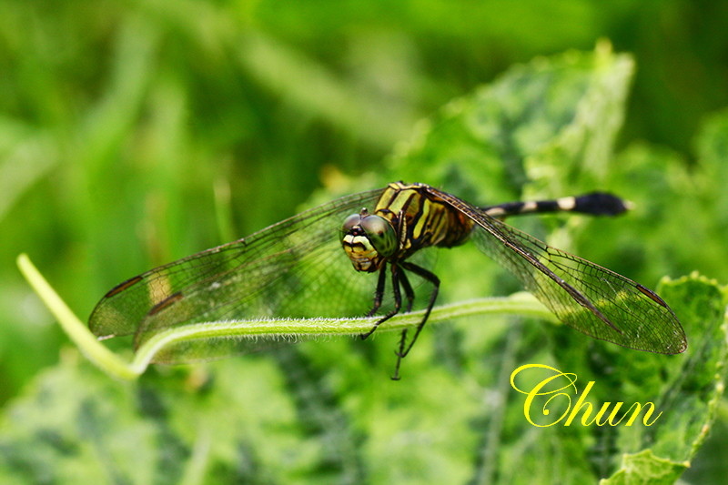 IMG_3449 IMG_3449