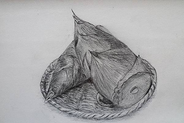素描習作 竹筍 素描習作 竹筍