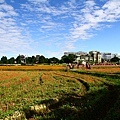 IMG_4479.JPG
