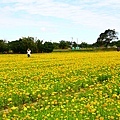 IMG_4438.JPG