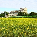 IMG_4520.JPG