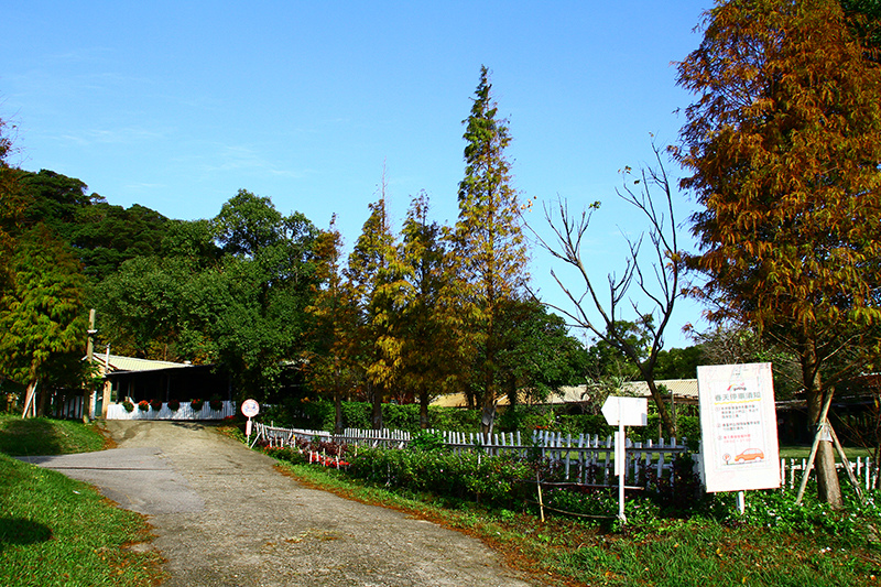 IMG_5232.JPG IMG_5232.JPG