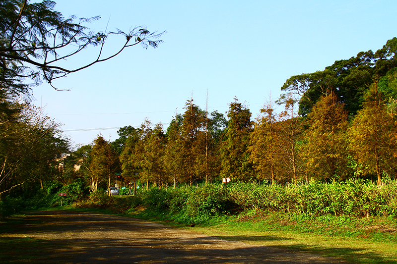 IMG_5234.JPG IMG_5234.JPG