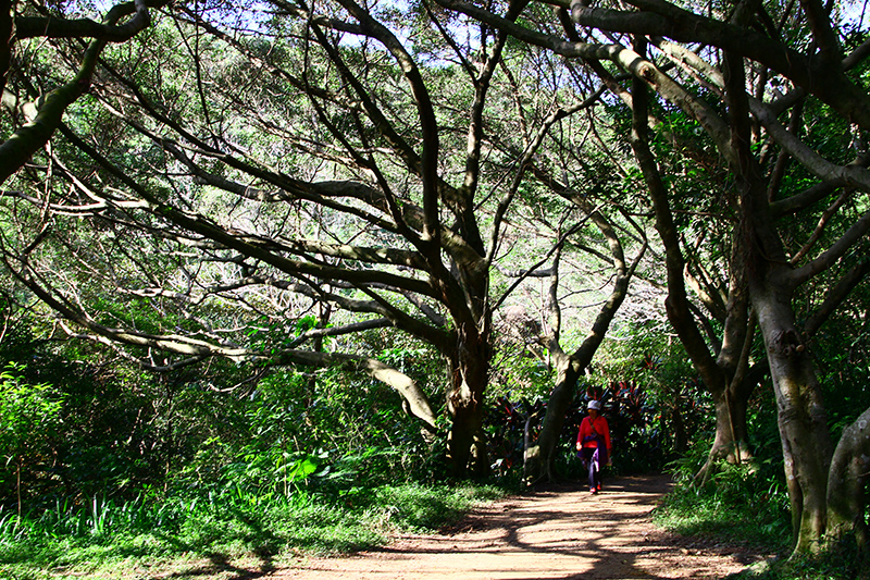 IMG_5243.JPG IMG_5243.JPG