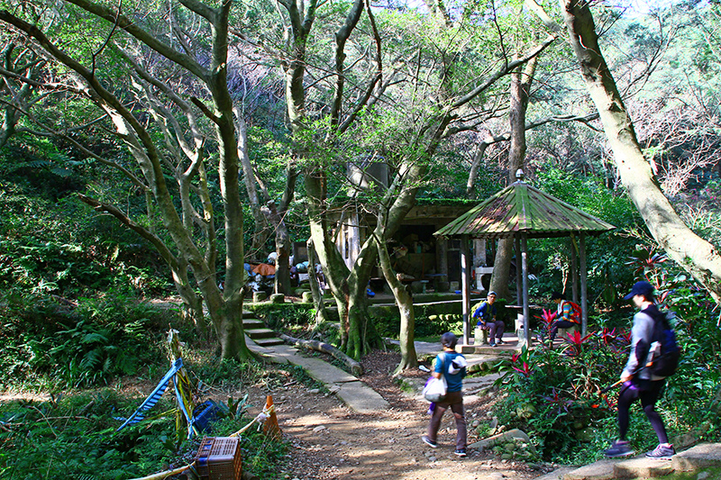 IMG_5247.JPG IMG_5247.JPG