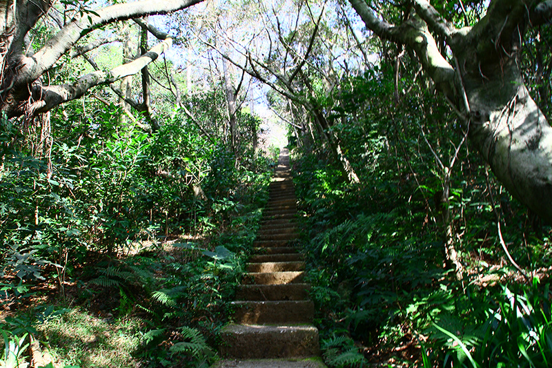 IMG_5248.JPG IMG_5248.JPG