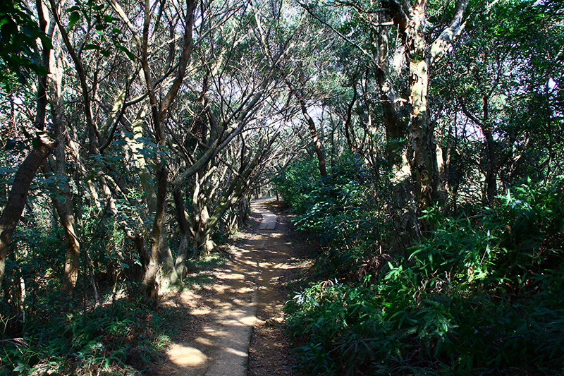 IMG_5254.JPG IMG_5254.JPG