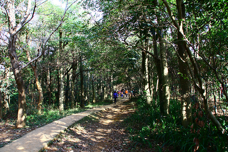 IMG_5258.JPG IMG_5258.JPG