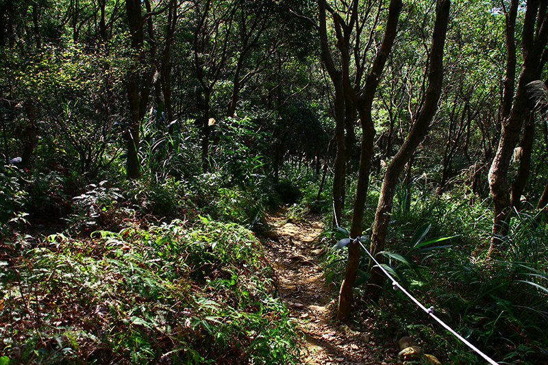 IMG_5266.JPG IMG_5266.JPG