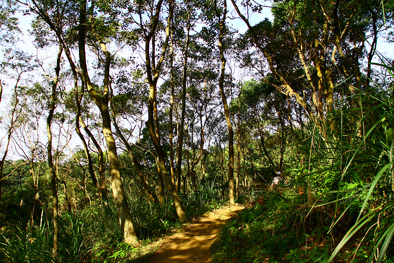 IMG_5267.JPG IMG_5267.JPG