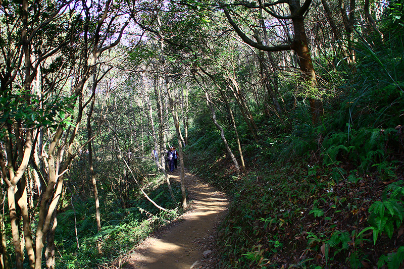 IMG_5268.JPG IMG_5268.JPG