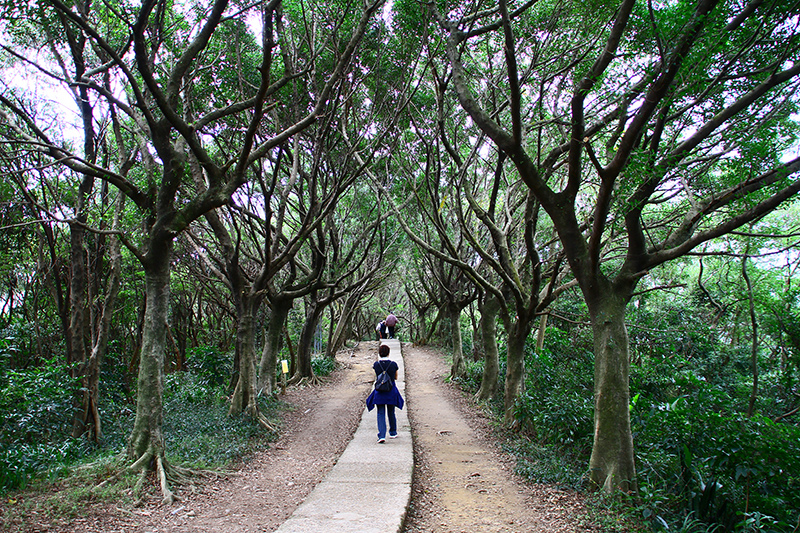 IMG_5280.JPG IMG_5280.JPG