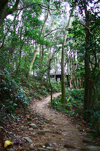 IMG_5285.JPG IMG_5285.JPG