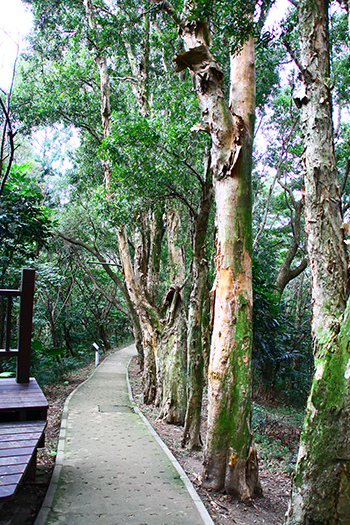 IMG_5287.JPG IMG_5287.JPG