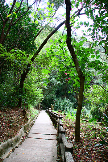 IMG_5291.JPG IMG_5291.JPG