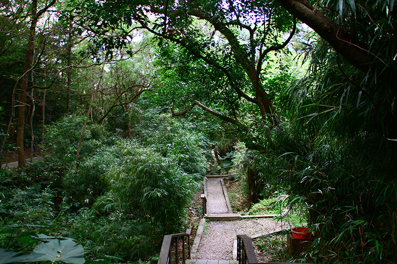 IMG_5296.JPG IMG_5296.JPG