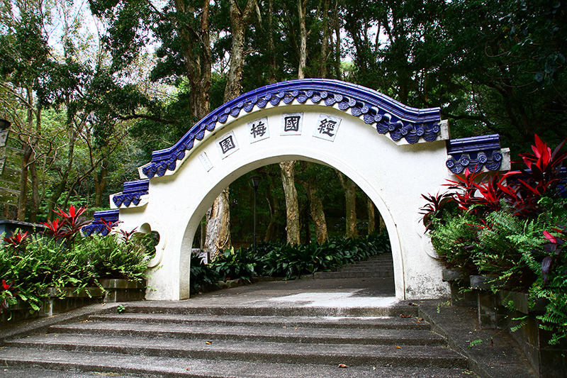 IMG_5301.JPG IMG_5301.JPG