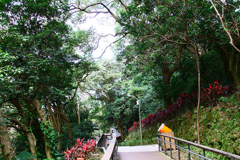 IMG_5309.JPG IMG_5309.JPG