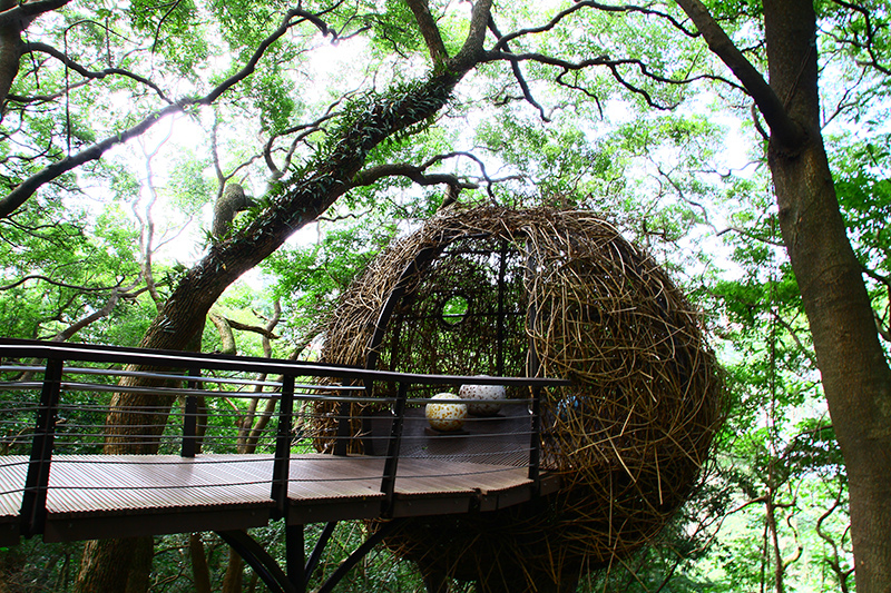 IMG_5311.JPG IMG_5311.JPG