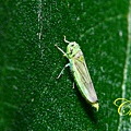 IMG_8675.JPG