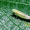 IMG_8679.JPG