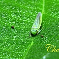 IMG_9280.JPG
